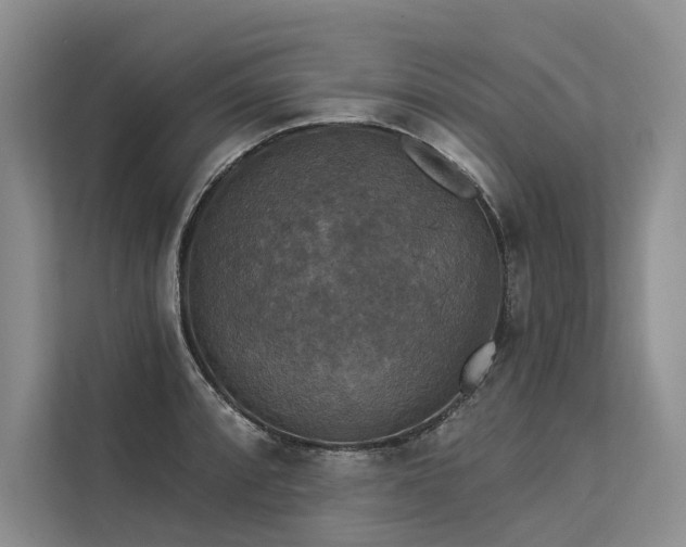 X0000113551088200909181154