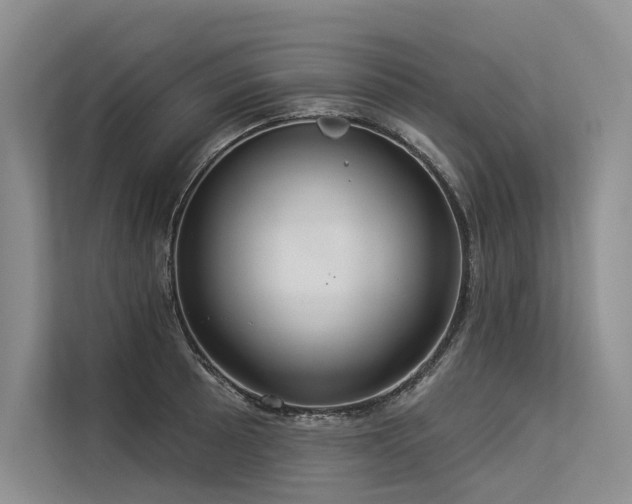 X0000113551089200909181154