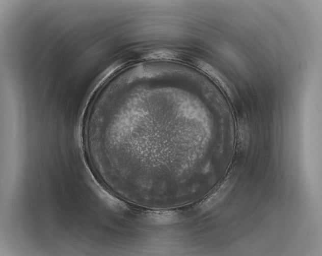 X0000113551090200909181154