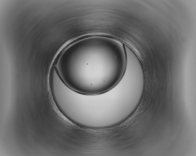X0000113551092200909181154
