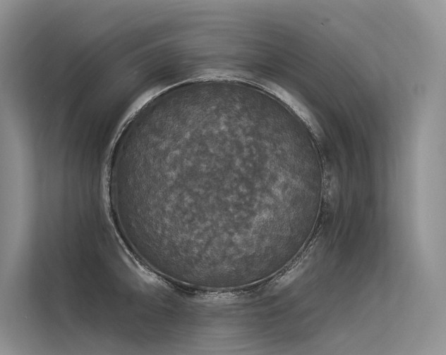 X0000113551094200909181154