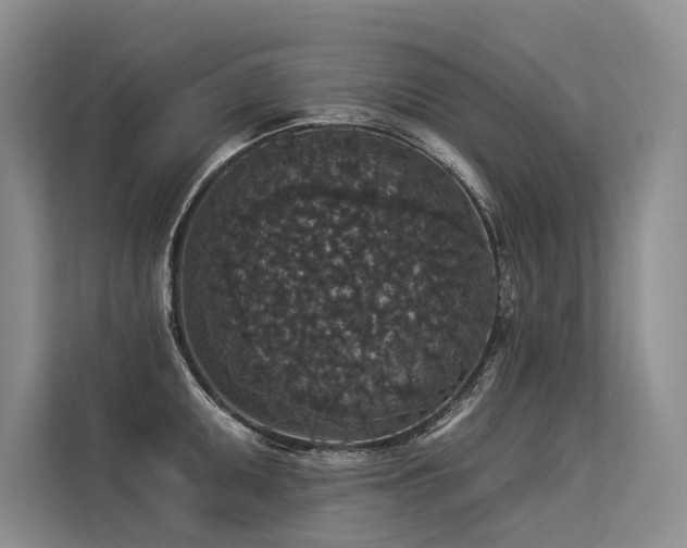 X0000113551095200909181154