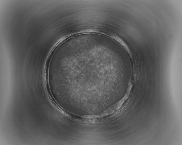 X0000113551096200909181154