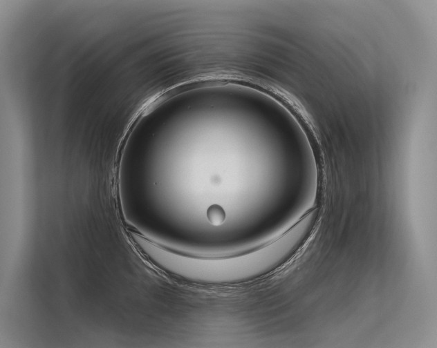X0000113551097200909181154