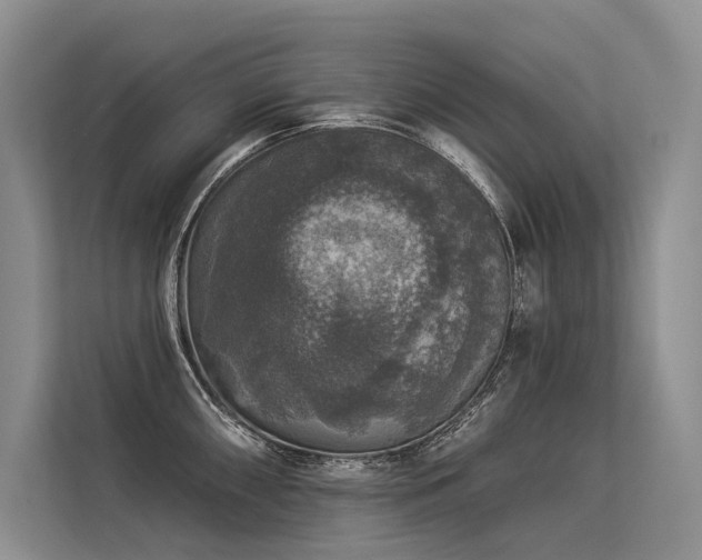 X0000113551098200909181154