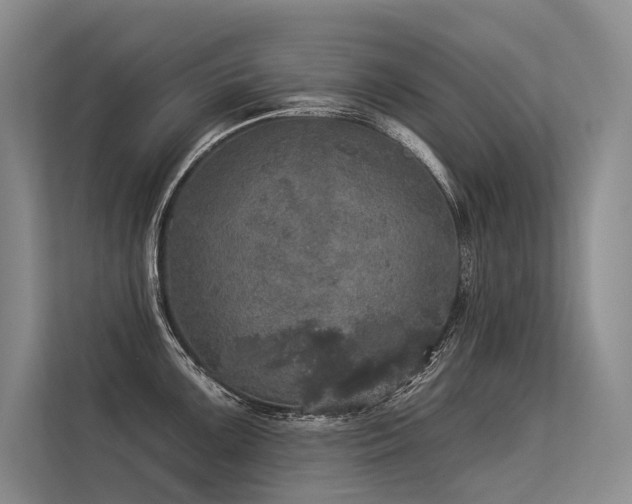 X0000113551099200909181154