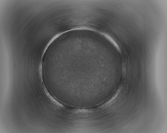 X0000113551100200909181154