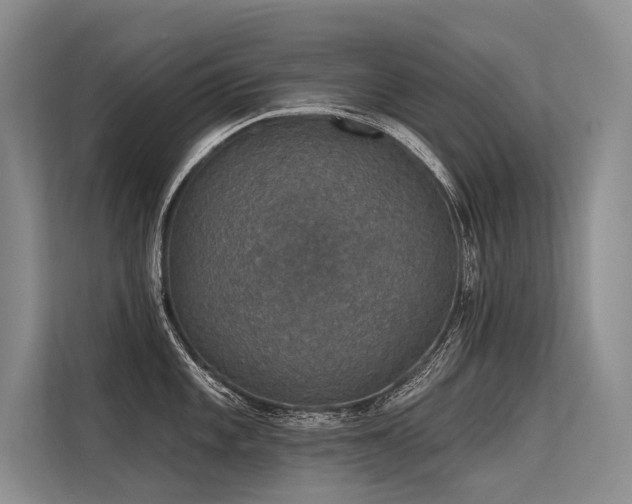 X0000113551101200909181154
