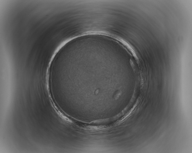 X0000113551102200909181154
