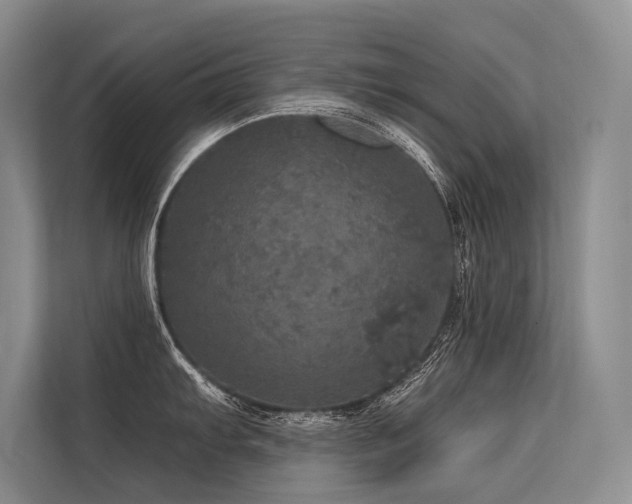 X0000113551103200909181154