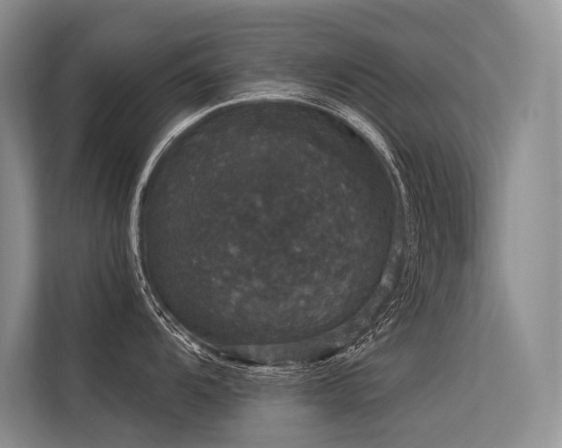 X0000113551104200909181154