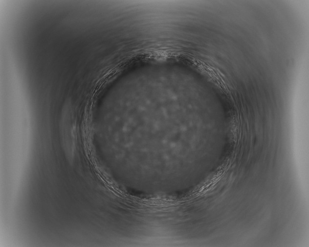 X0000113551105200909181153