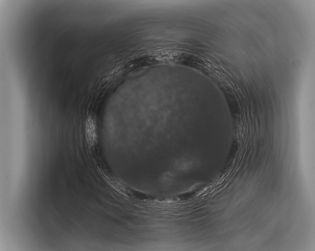 X0000113551106200909181153