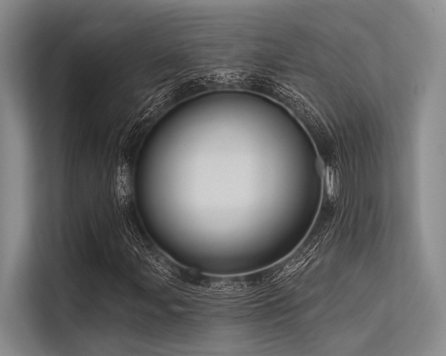 X0000113551107200909181153