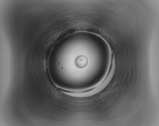 X0000113551108200909181153