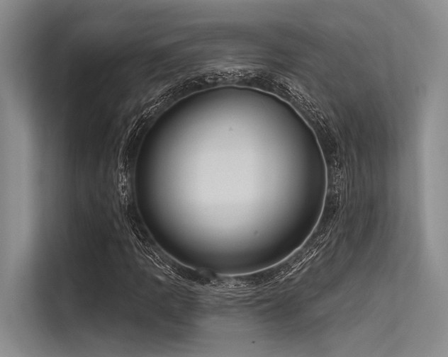 X0000113551109200909181153
