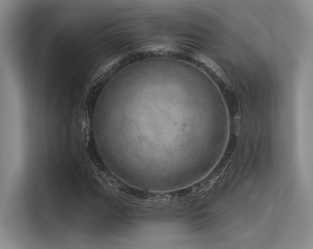 X0000113551111200909181153