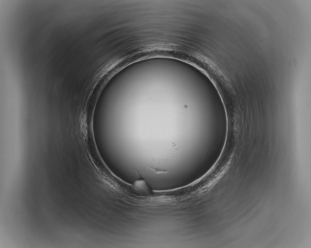 X0000113551113200909181153