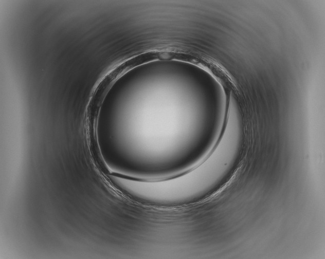 X0000113551114200909181153