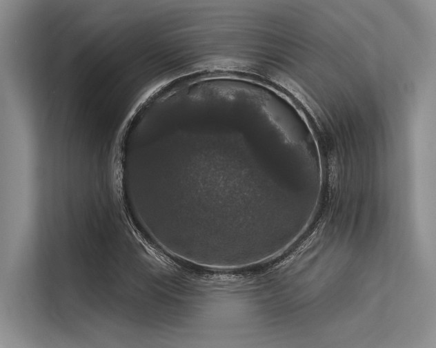 X0000113551115200909181153