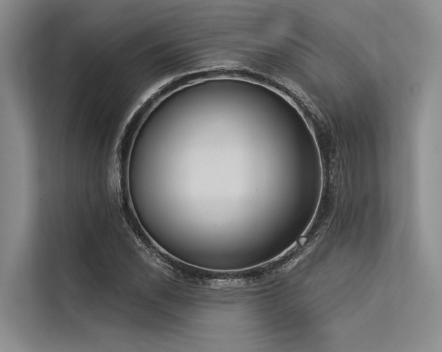 X0000113551118200909181153
