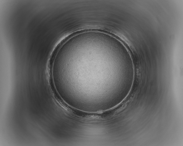X0000113551119200909181154