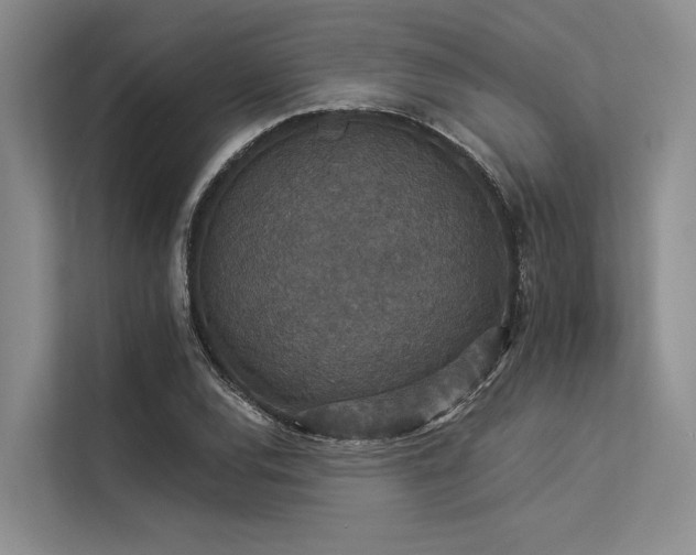 X0000113551120200909181154