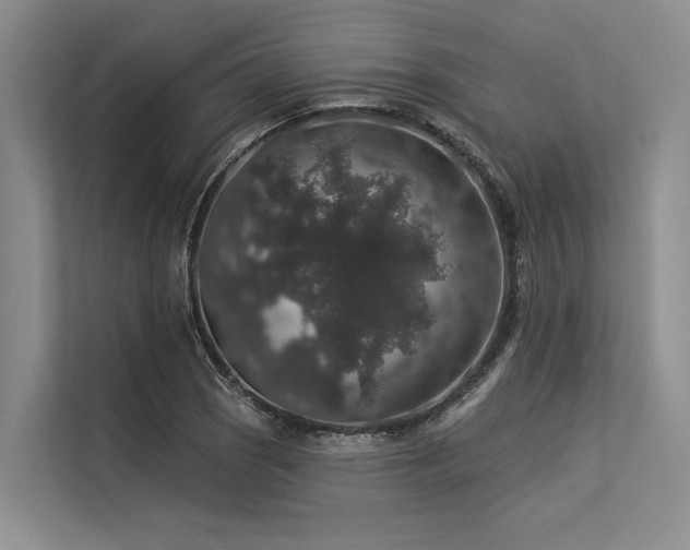 X0000113551121200909181154