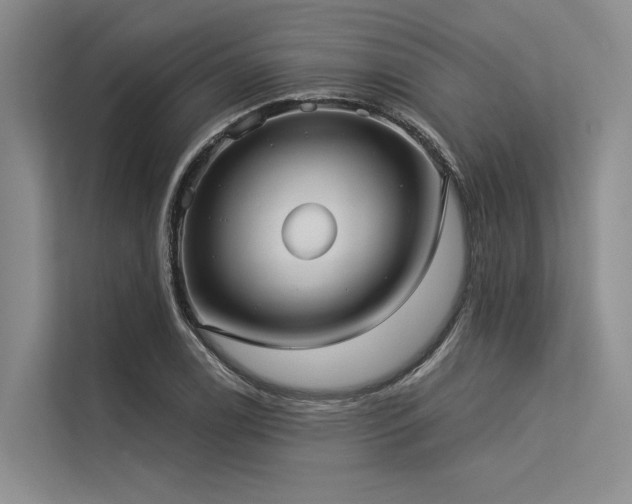 X0000113551122200909181154