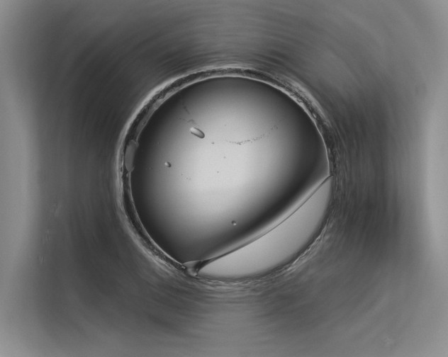 X0000113551124200909181154