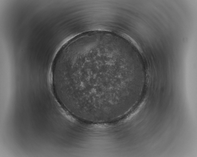 X0000113551125200909181154
