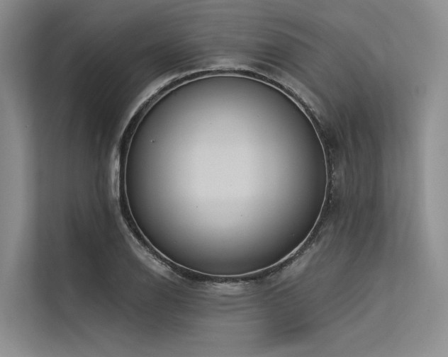X0000113551126200909181154