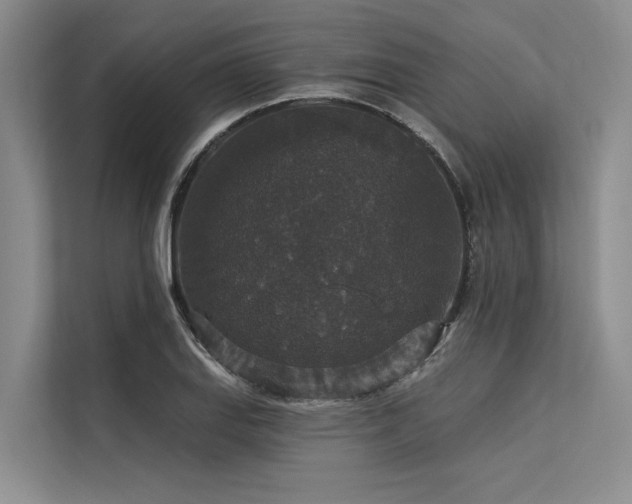 X0000113551127200909181154