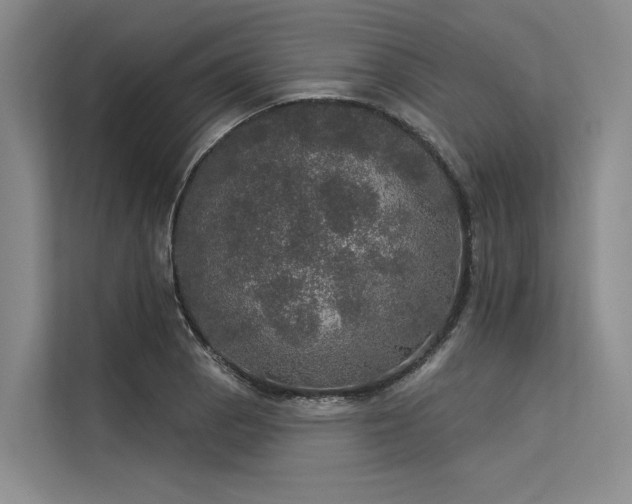 X0000113551129200909181154