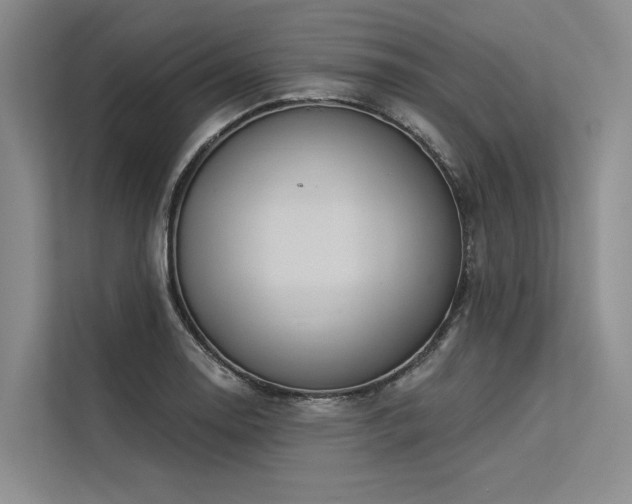 X0000113551130200909181154