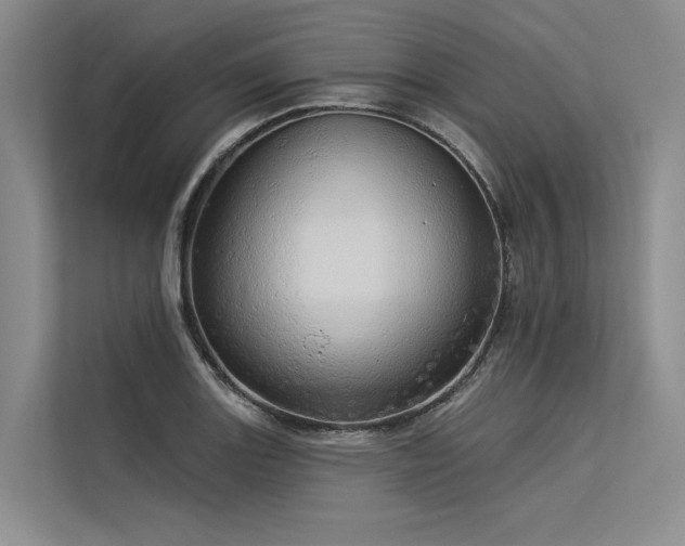 X0000113551131200909181154