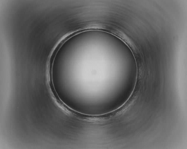 X0000113551132200909181154