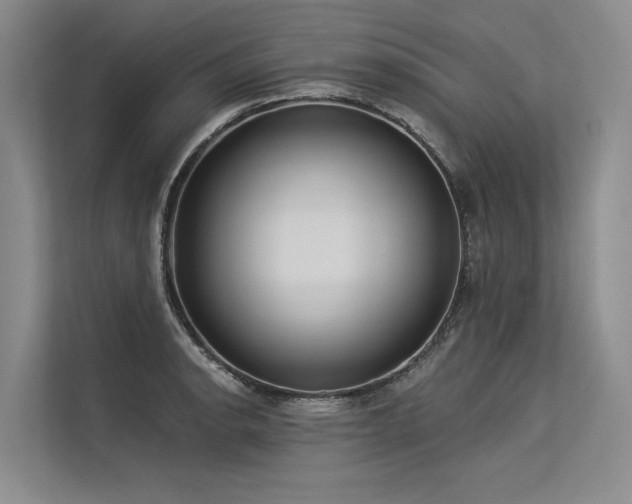 X0000113551134200909181154