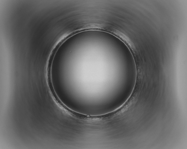 X0000113551135200909181154