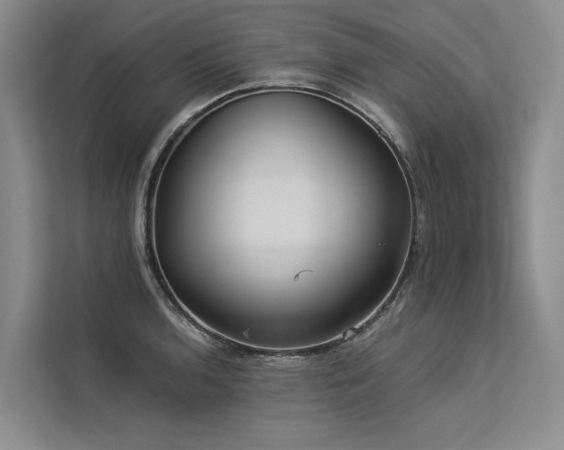 X0000113551136200909181154