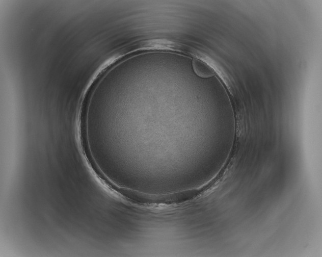 X0000113551139200909181154