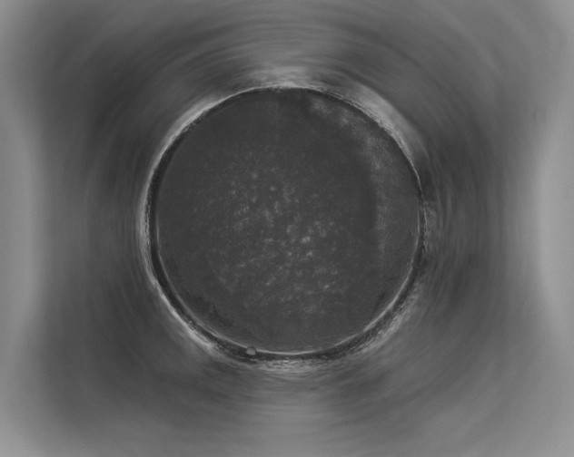 X0000113551141200909181154
