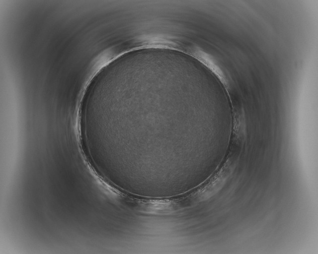 X0000113551144200909181154