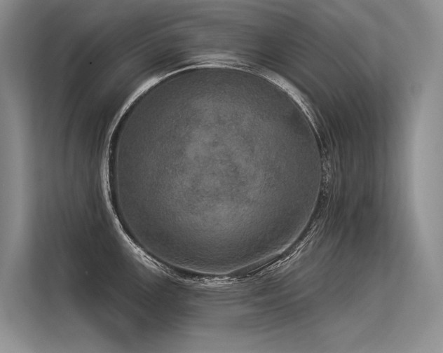 X0000113551147200909181154