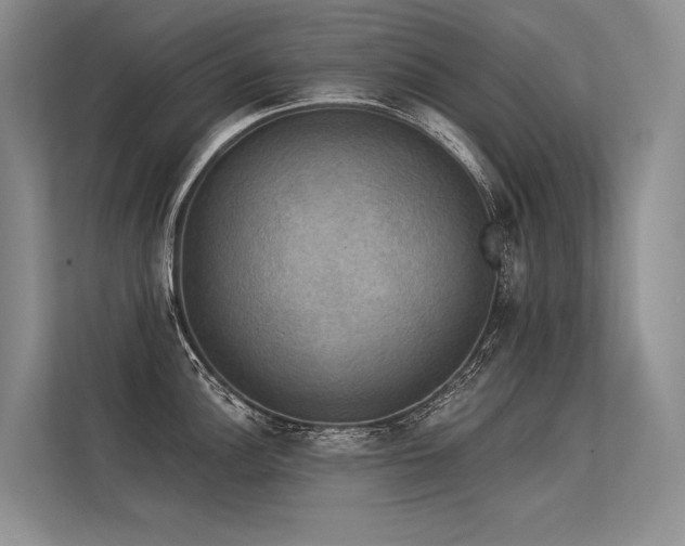 X0000113551148200909181154