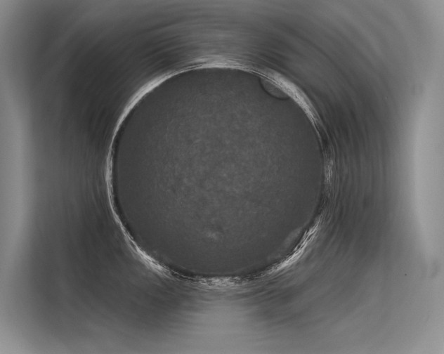 X0000113551149200909181154
