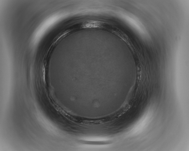 X0000113551151200909181154