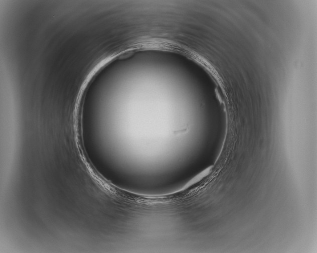 X0000113551152200909181154