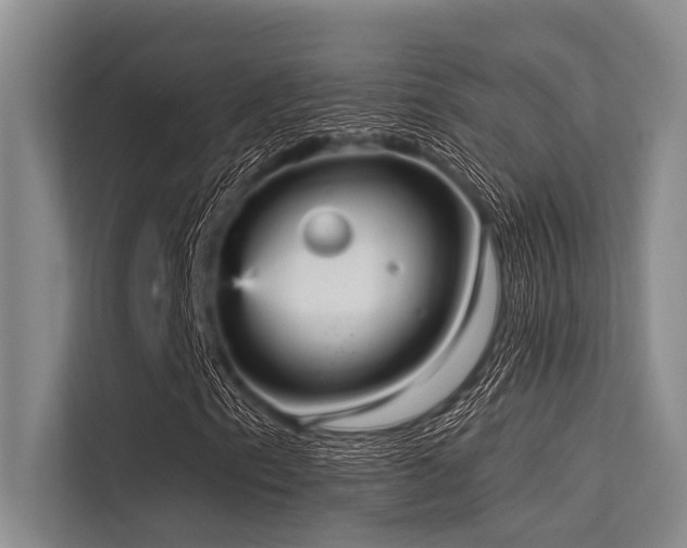 X0000113551153200909181153