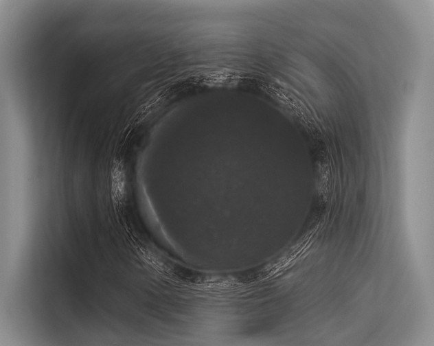 X0000113551154200909181153